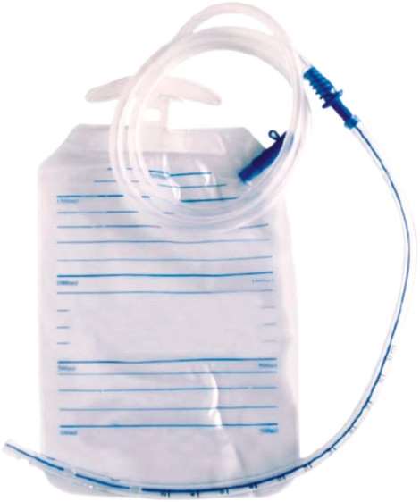 k2a0f4oqdl_1655407001055