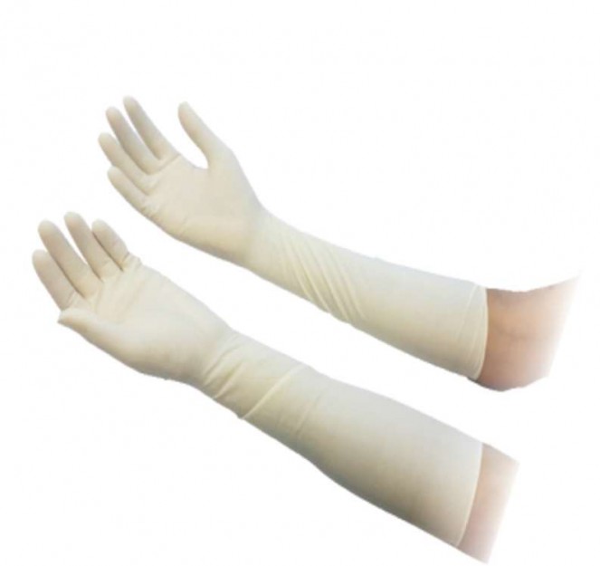 Elbow Length Gloves